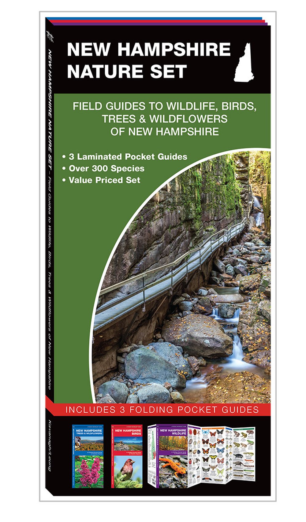 New Hampshire Nature Set Field Guides to Wildlife, Birds, Trees