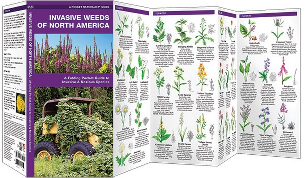 Invasive Weeds of North America (Pocket Naturalist® Guide)
