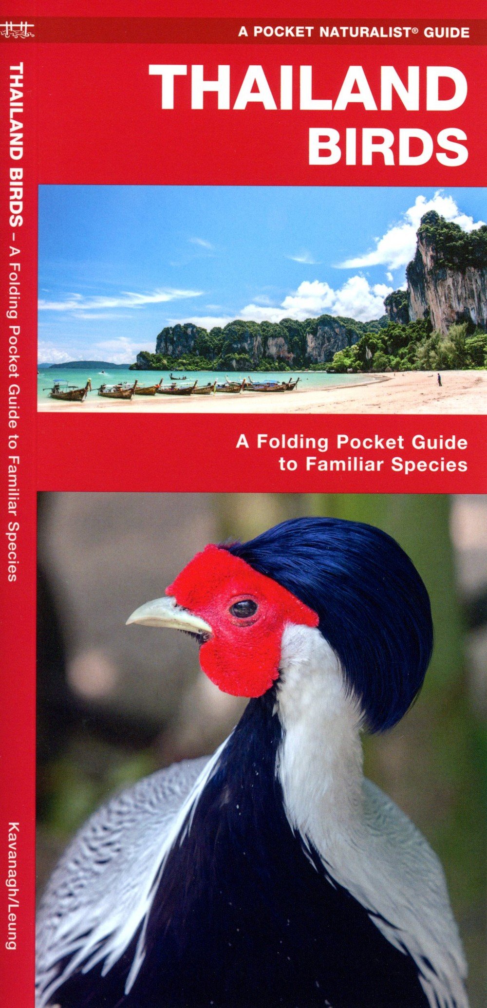 Thailand Birds (Pocket Naturalist® Guide)