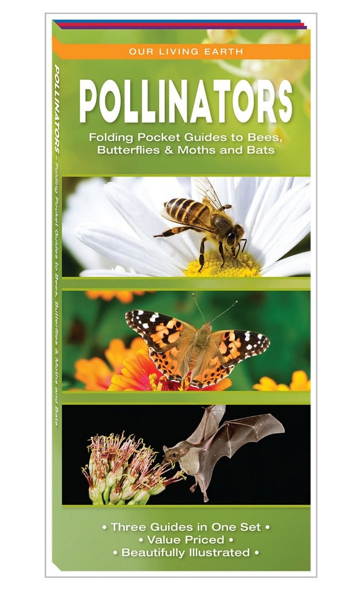 Pollinators: Folding Pocket Guides to Bats, Bees, Butterflies & Moths (Our Living Earth® Series)