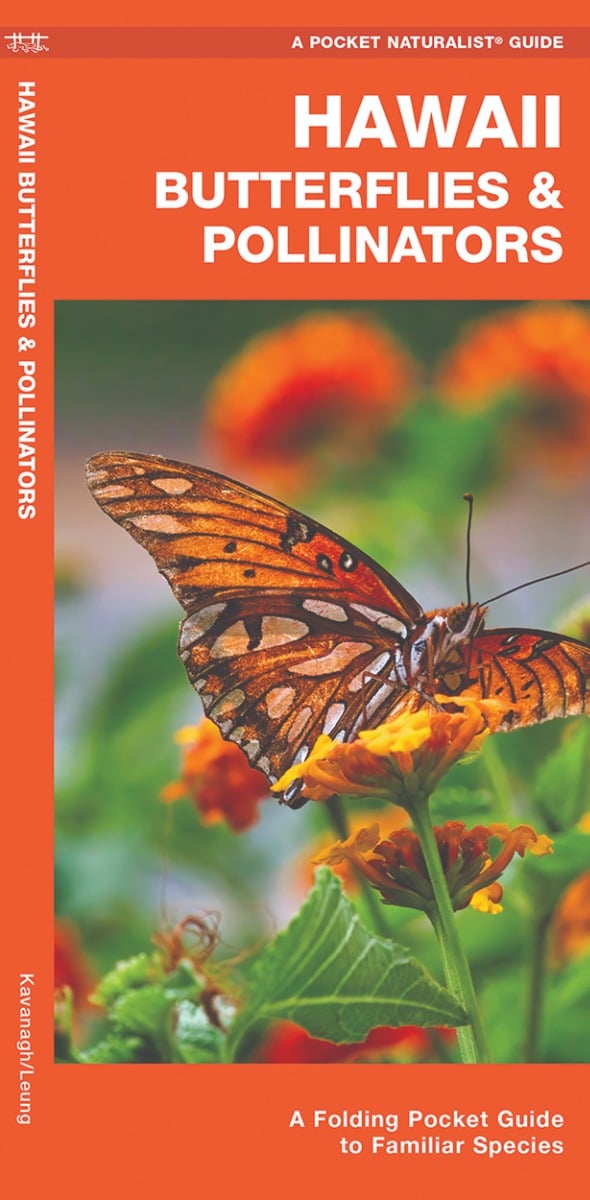 Hawaii Butterflies & Pollinators (Pocket Naturalist® Guide)