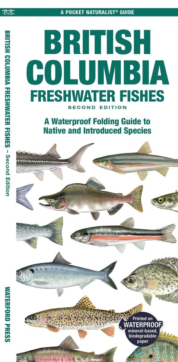 British Columbia Freshwater Fishes (Pocket Naturalist® Guide)