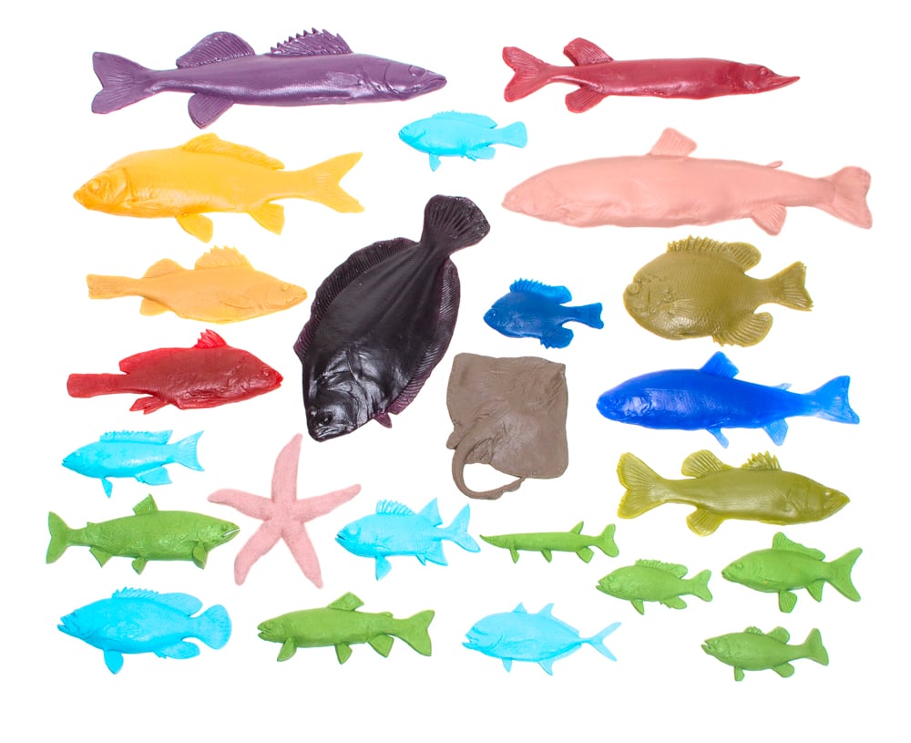 Fish Printing Replicas Collection (Discounted Set of All 24 Fish Replicas)