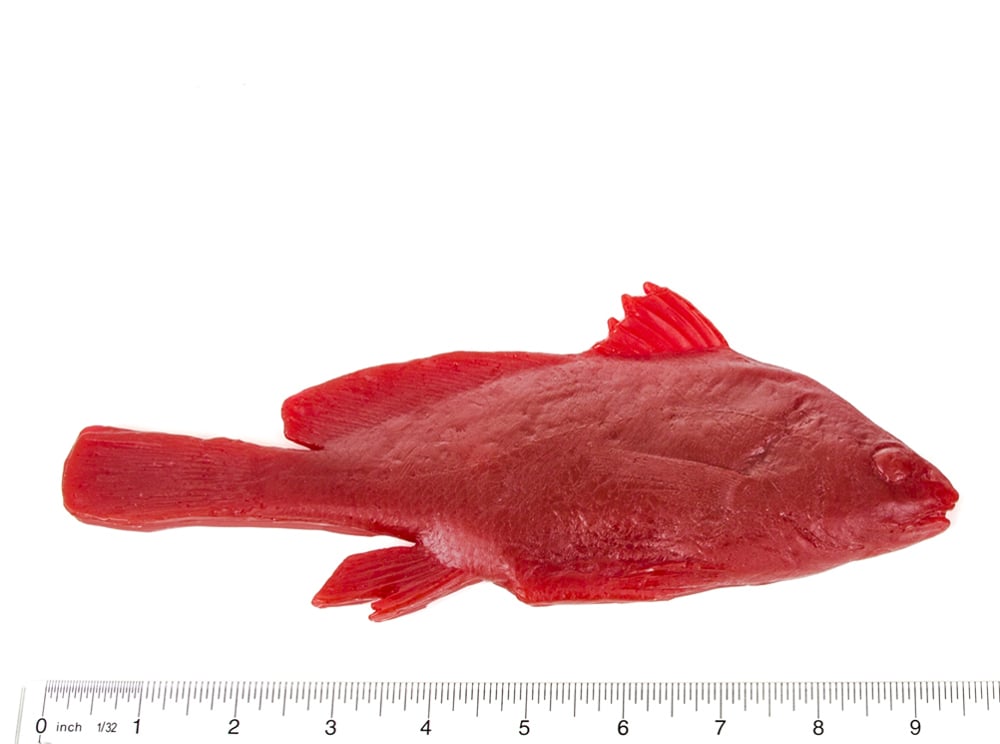 Drum Fish Printing Replica