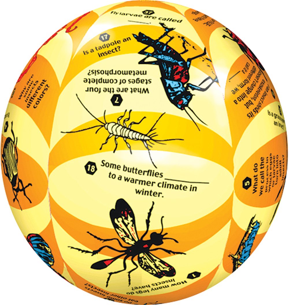 Insects Instructional Play Ball (Clever Catch®)