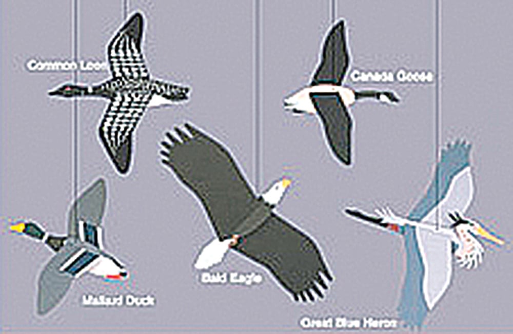 Water Birds and Bald Eagle Mobile