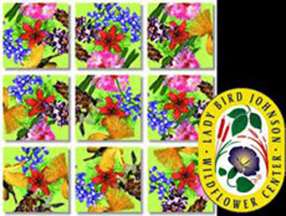 American Native Flowers Scramble Squares®