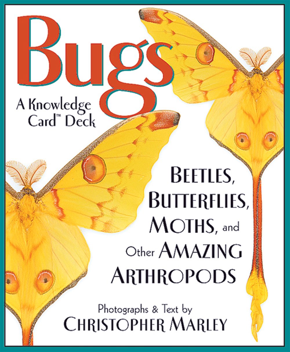 Bugs: Beetles, Butterflies, Moths, and Other Amazing Arthropods (Knowledge Cards®)