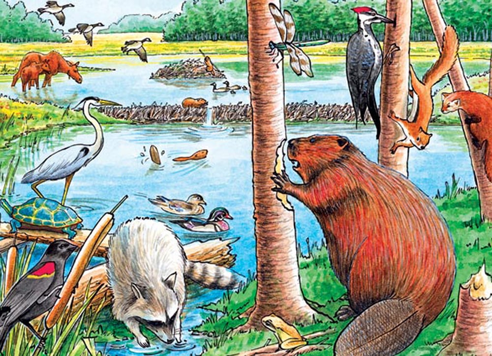 Beaver Pond (35-Piece Tray Puzzle)