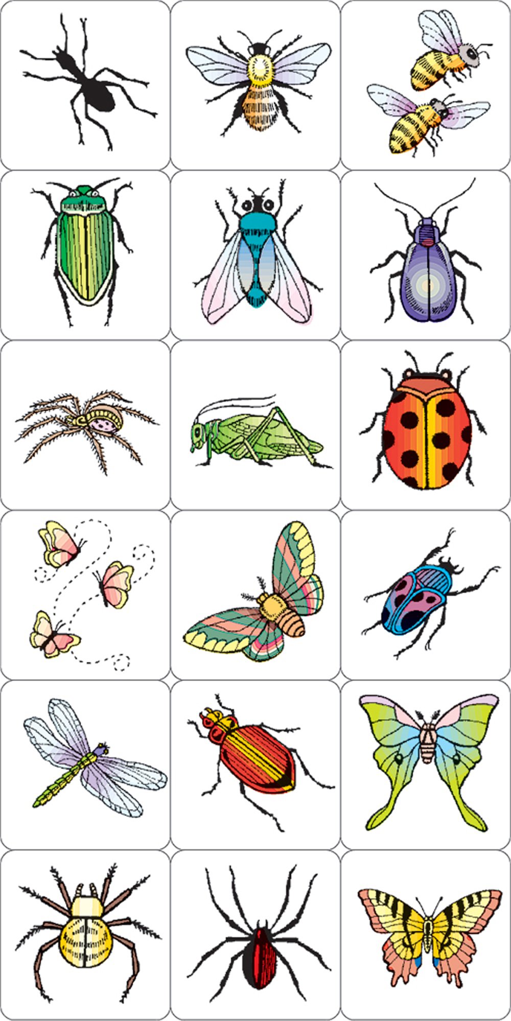 Insects & Spiders Rubber Stamp Kit