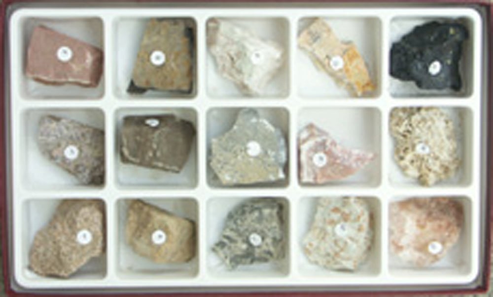 Sedimentary Rocks (Specimen Collection)