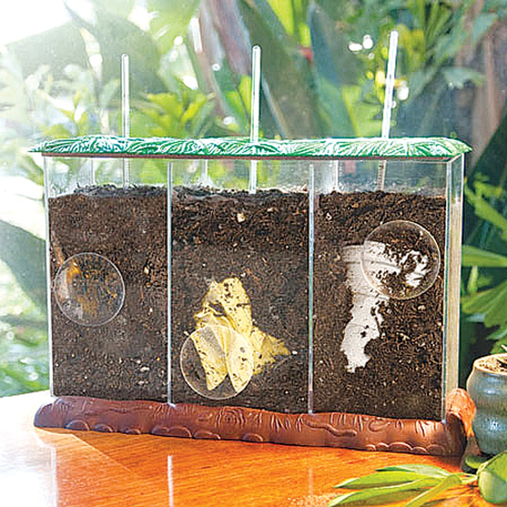 Educational Insights See-through Compost Container 12 X 4 X 8 Inch for sale online 