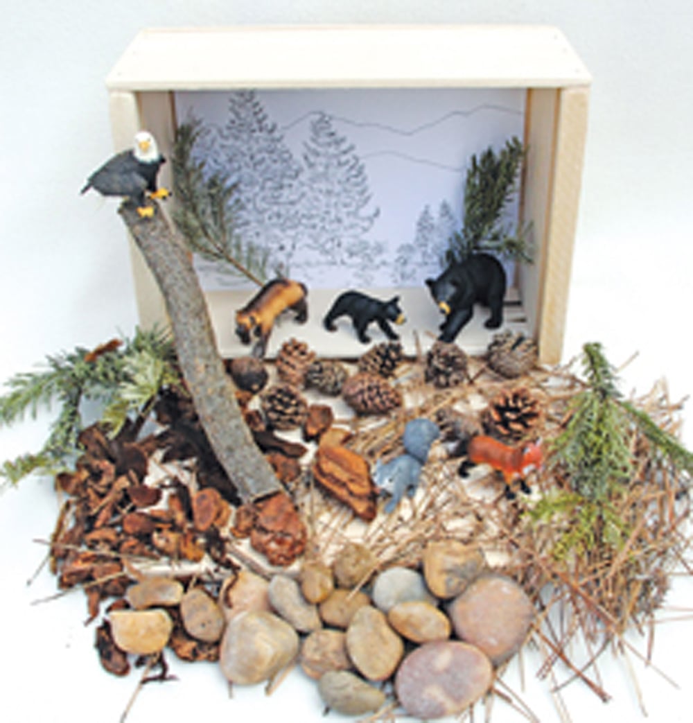 Evergreen Forest Diorama (CreateAScene® Habitat Diorama Kit)