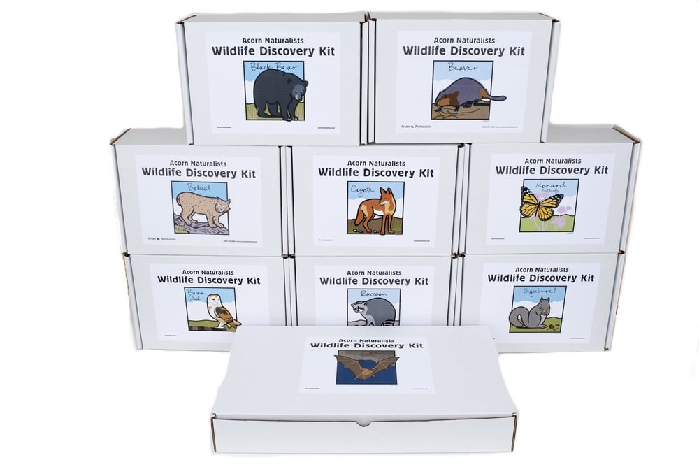 Wildlife Discovery® Kit Collection (Discounted Set of 9 Kits)