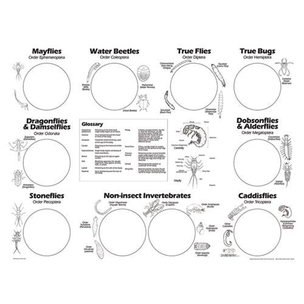 Freshwater Invertebrate Sorting Sheets (from the Stream Ecology Kit "Leaf Pack")