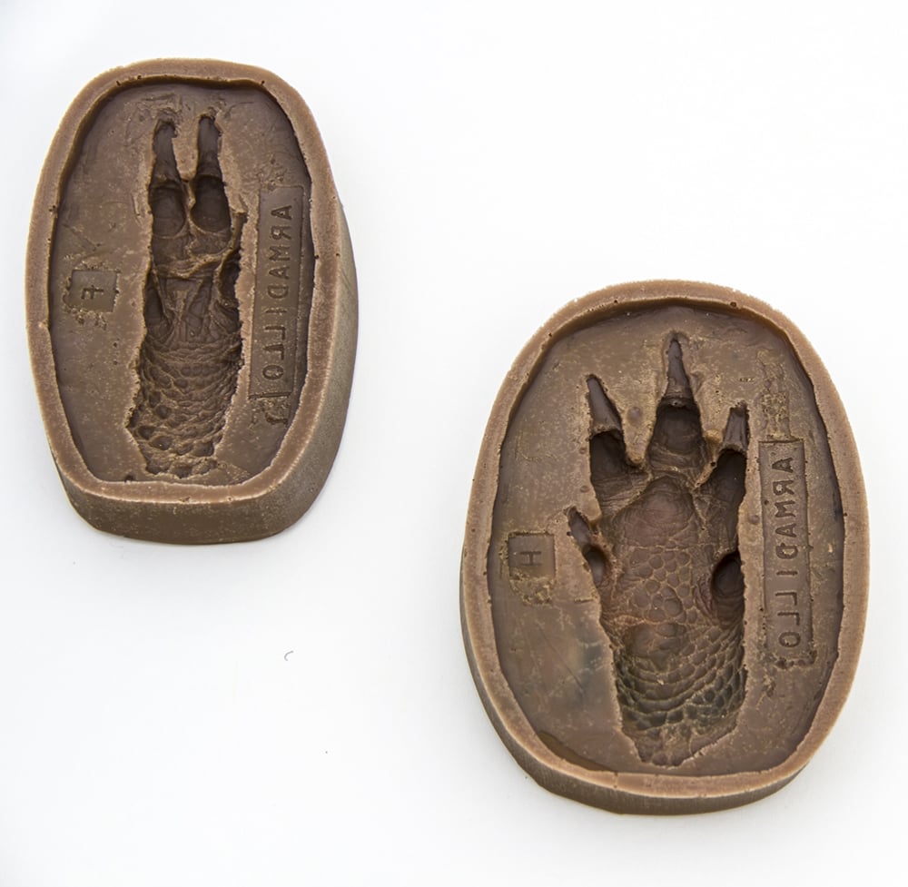 Armadillo Track Mold