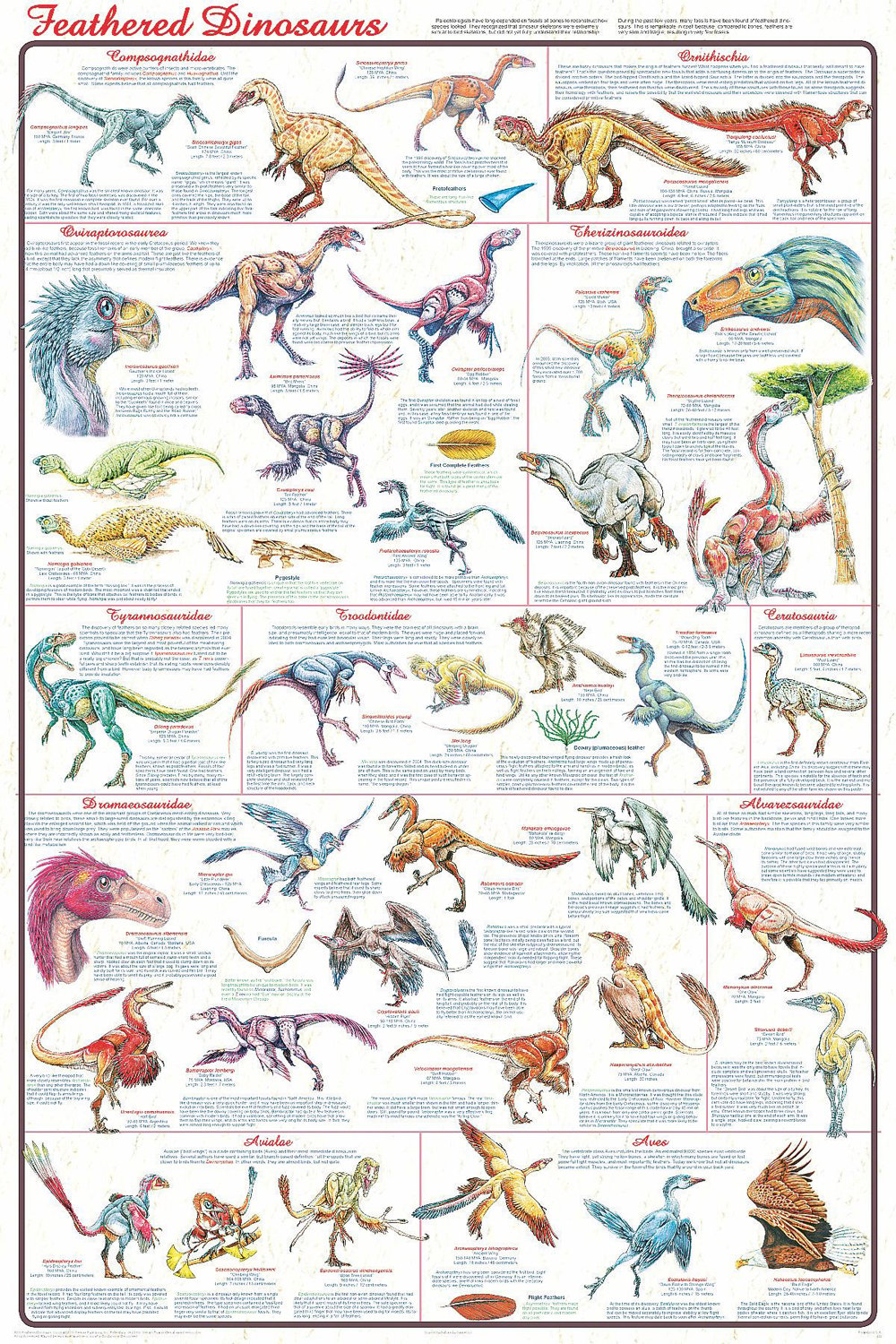 Feathered Dinosaurs Laminated Poster