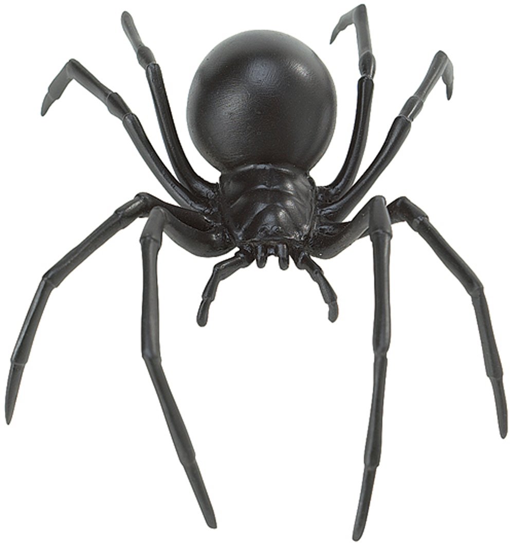Spider (Black Widow) Model