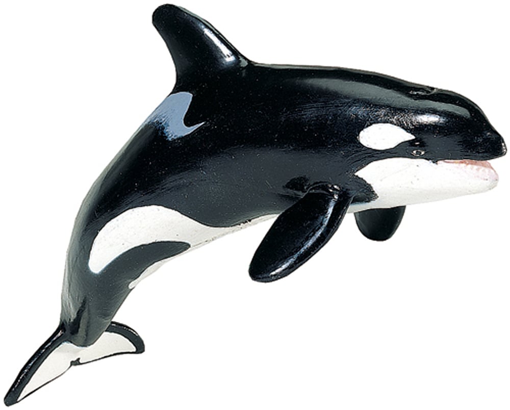 Orca (Tail Down) Model