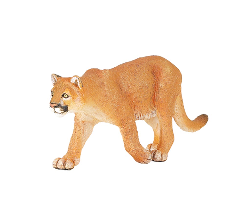 Cougar Animal Model (Panther)