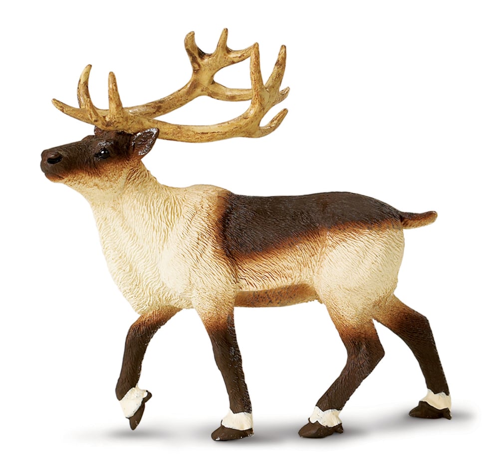 Reindeer Model