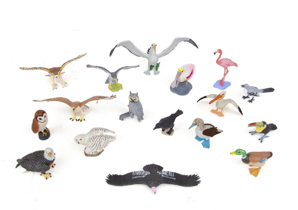 Bird Model Collection (Discounted Set of 17 Models)