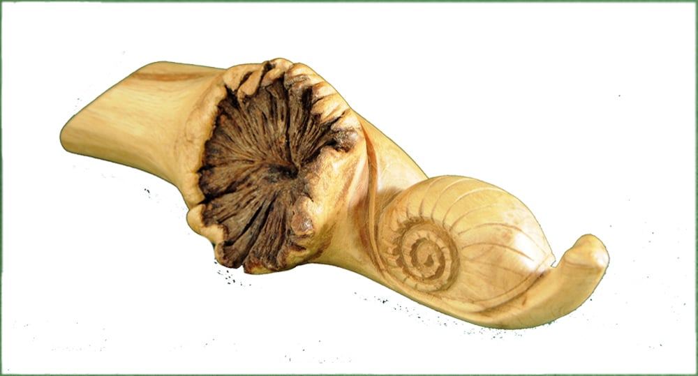 Snail Wood Carving
