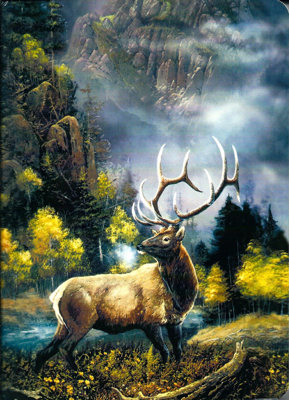 Deer Buck Journal