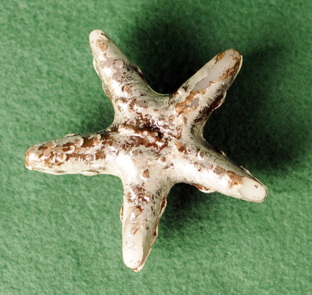 Floating Sea Star Candle