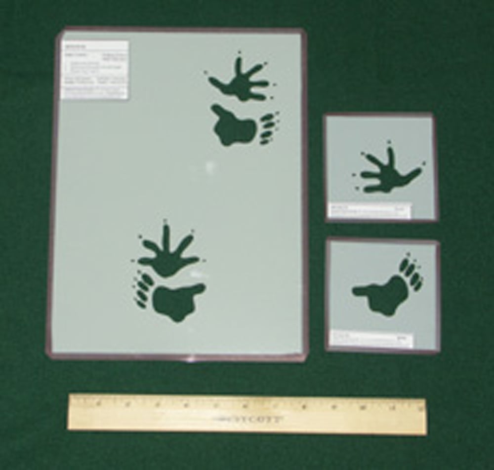 Opossum Tracking Stencils
