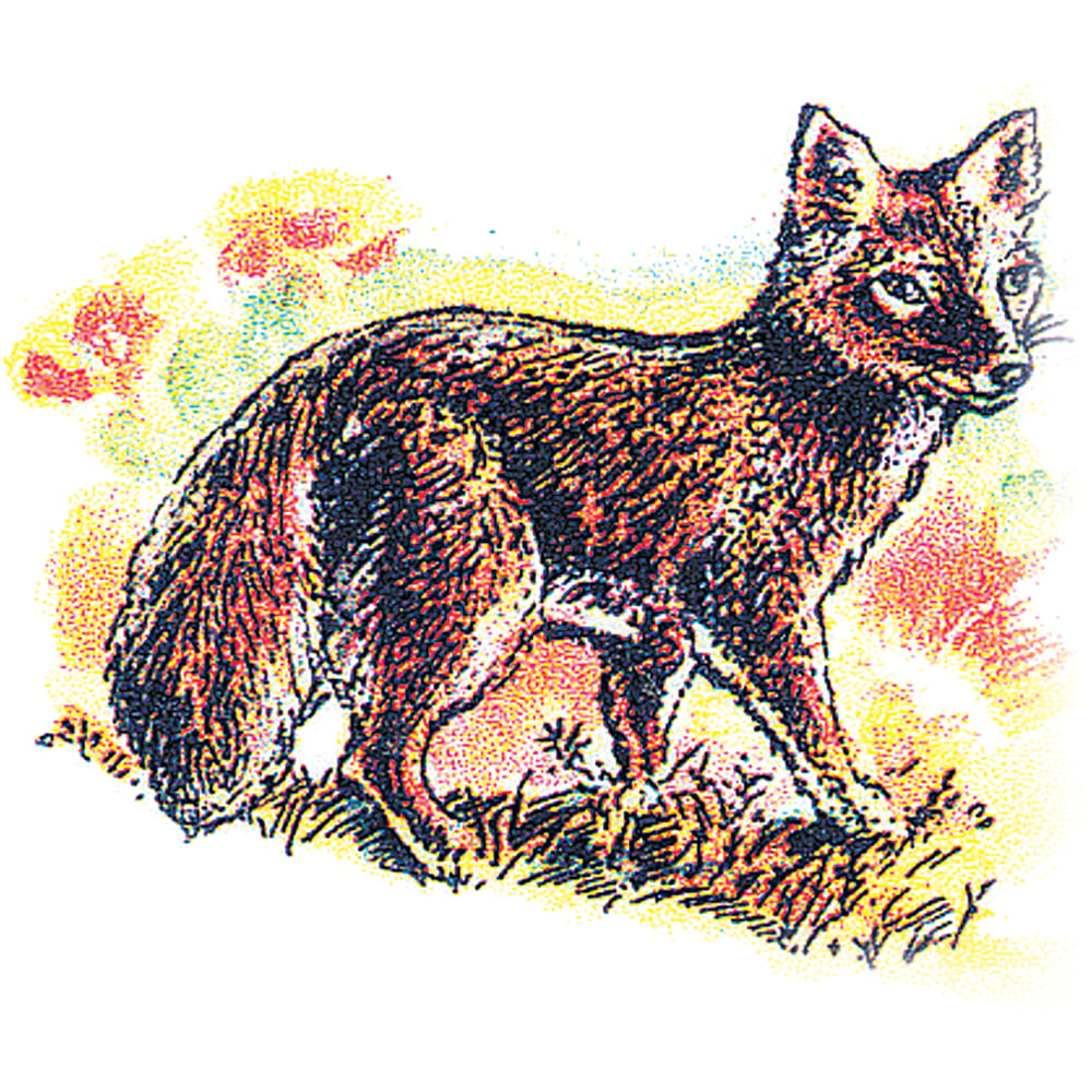 Fox (Kit) Rubber Stamp