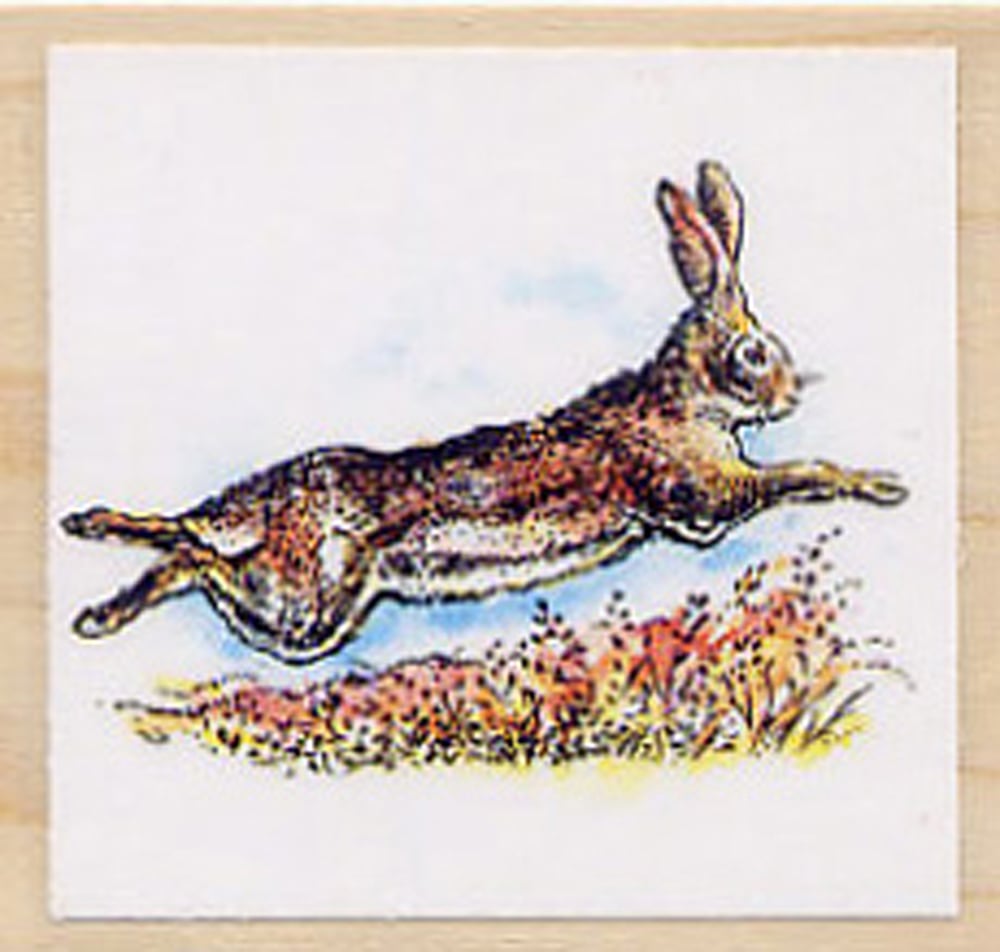 Jack Rabbit Rubber Stamp