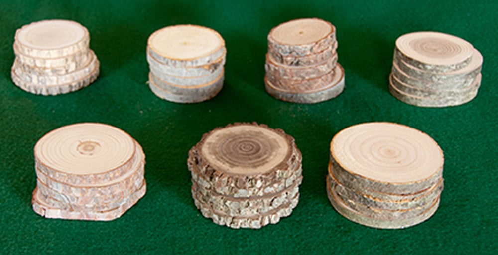 Botanical Grade Tree Rounds: Eastern Classroom Collection (Discounted Set of 30: 5 Each of 6 Species)