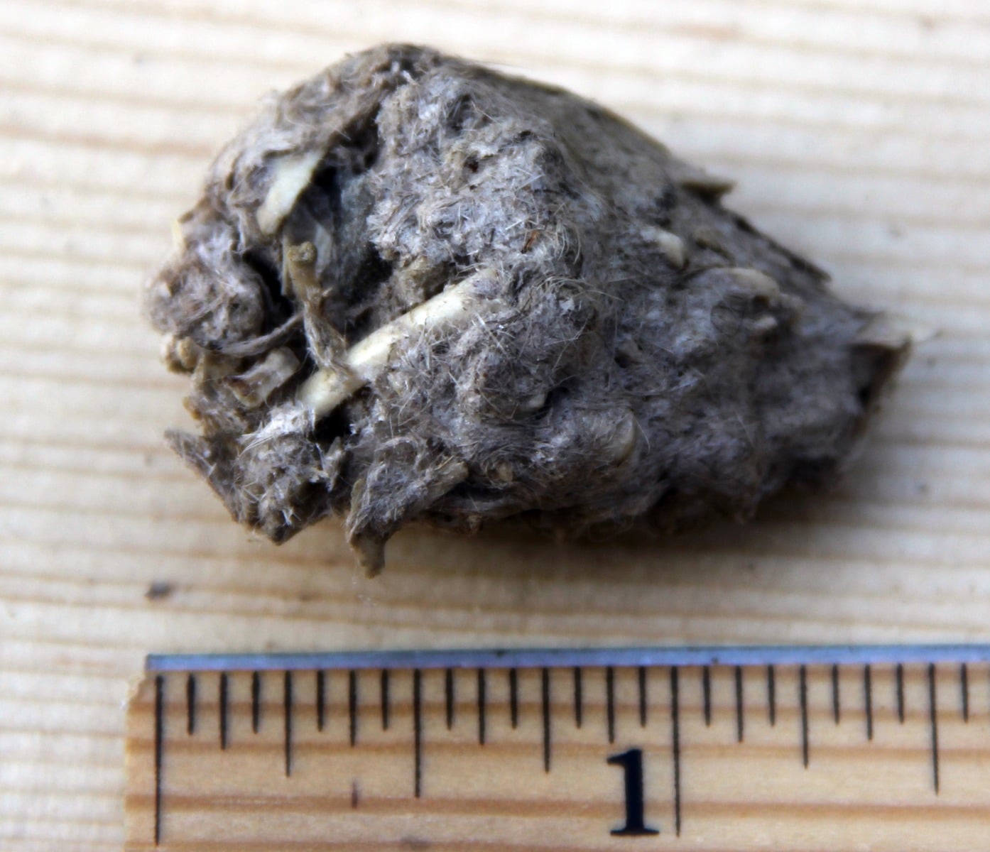 Raven Pellet