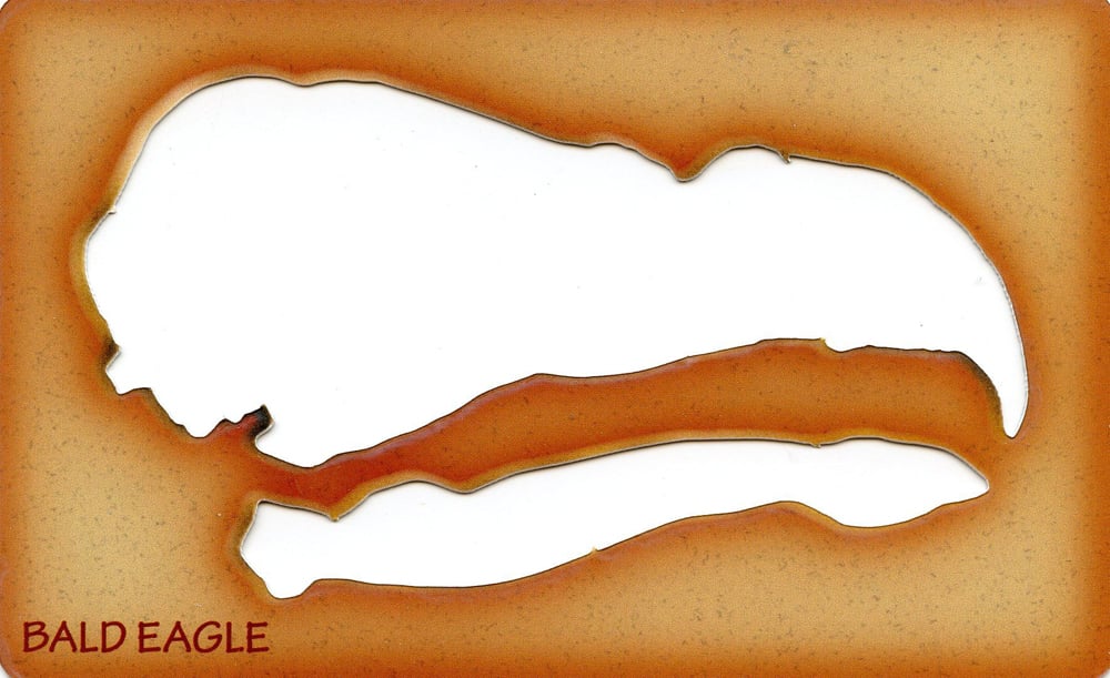 Bald Eagle Trace-A-Skull® Template