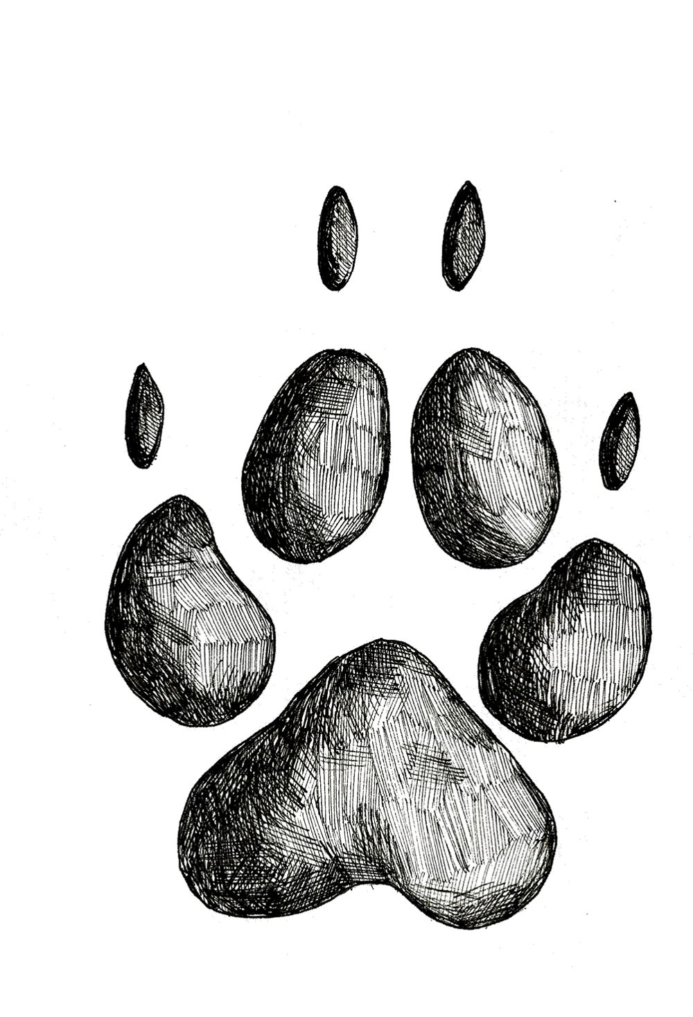 Coyote Track Stamp (Front Left Foot)