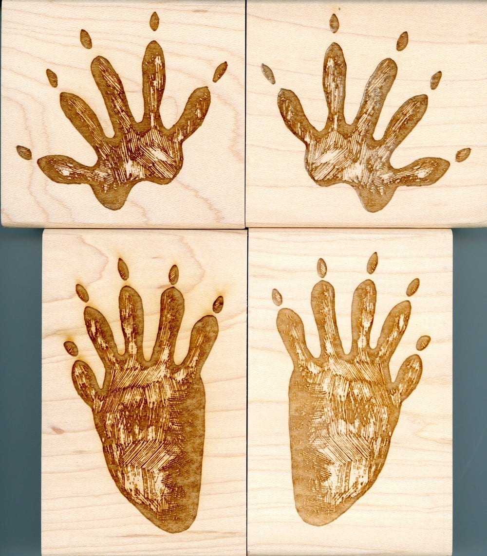 Raccoon Track Stamp Collection