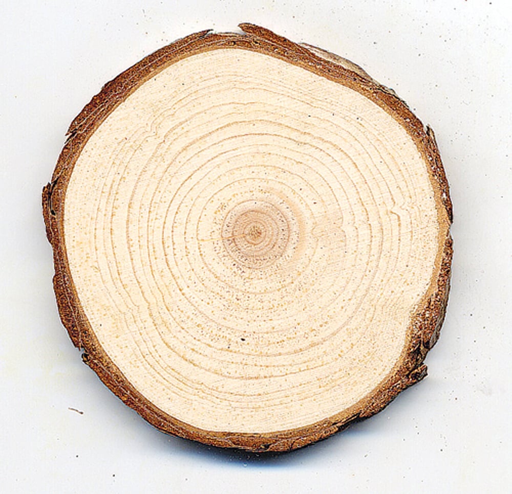 Pine (Red) Tree Round