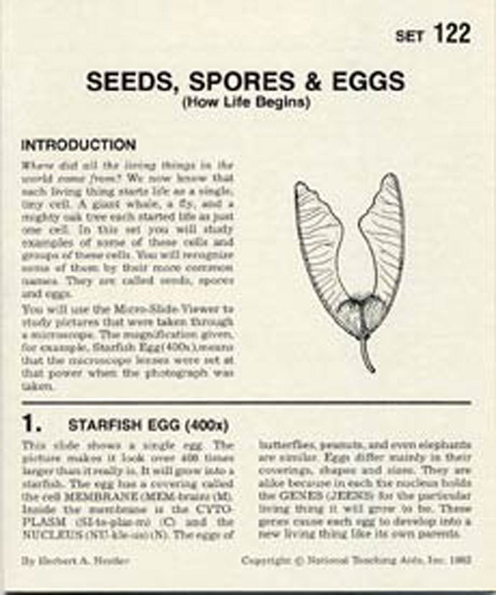 Seeds, Spores, and Eggs (Microslide® Lesson Set)