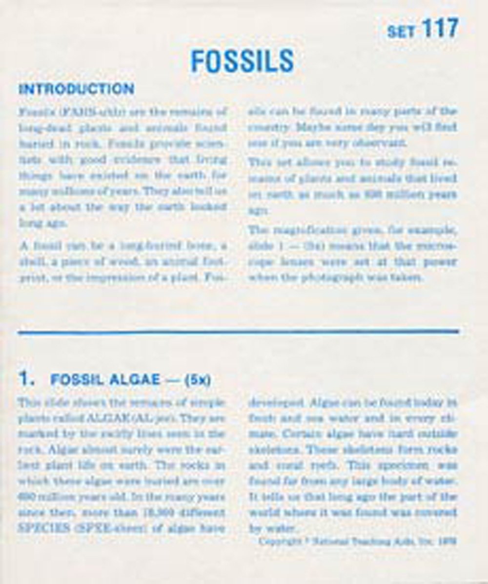 Fossils (Microslide® Lesson Set)