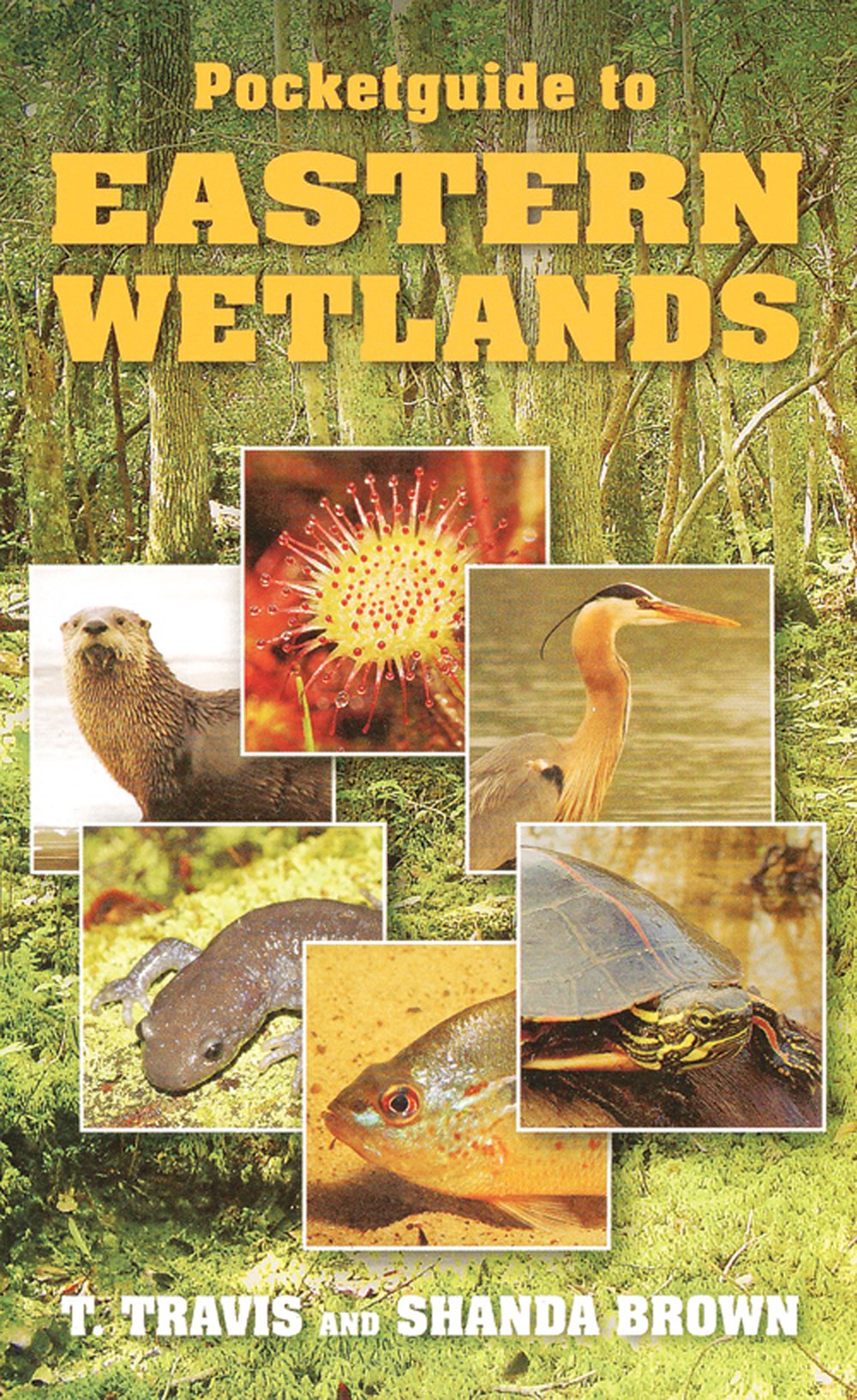 Pocket Guide to Eastern Wetlands