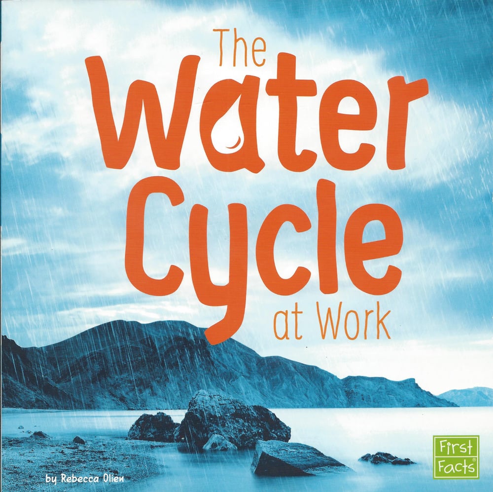 Water Cycle, The (Water in our World Series)