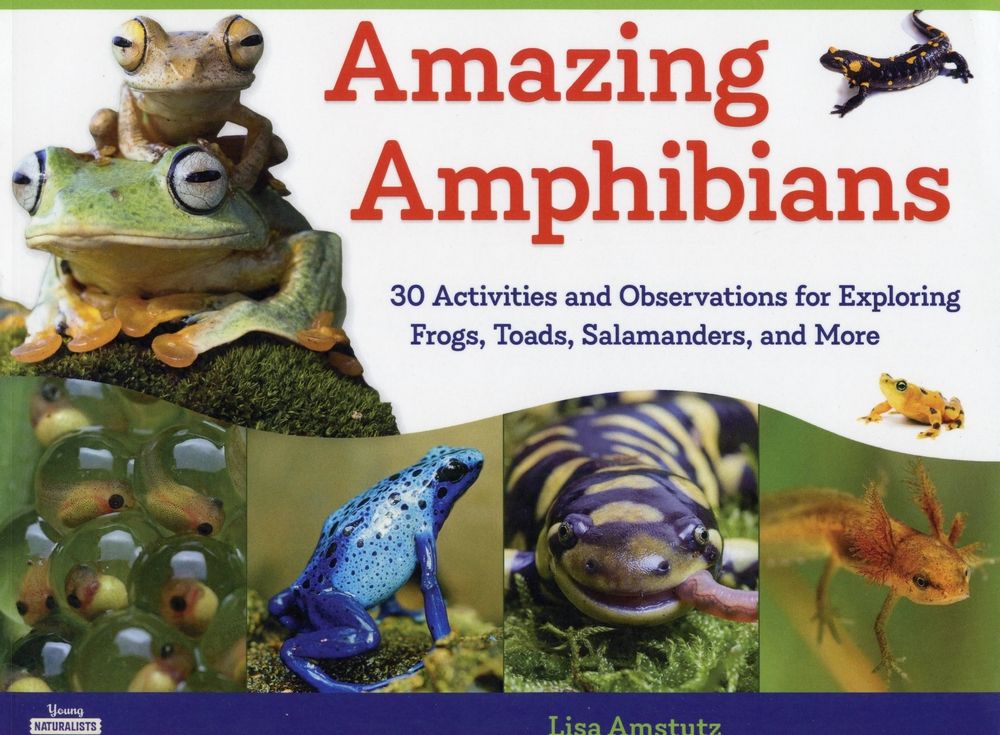 Amphibian:　Activities　Amazing　30　More　for　Observations　Frogs,　and　Salamanders,　and　Exploring　Toads,