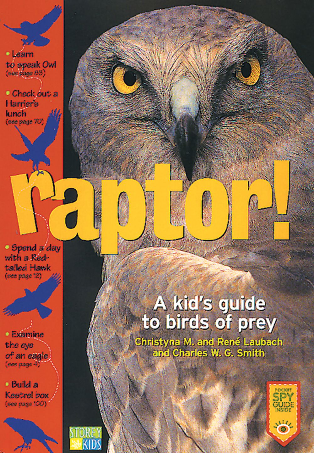 Raptors: Birds: Species Information: Wildlife: Fish & Wildlife
