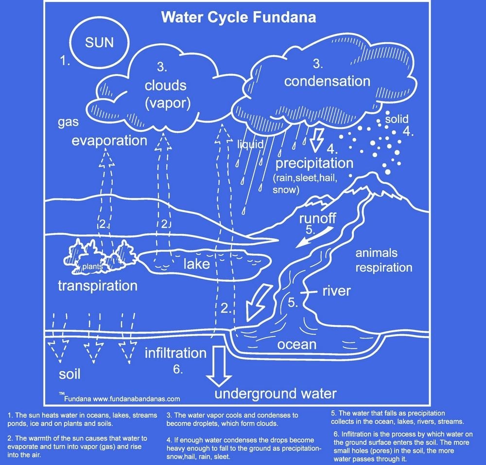 Water Cycle Scarf (Fundana® Bandana)