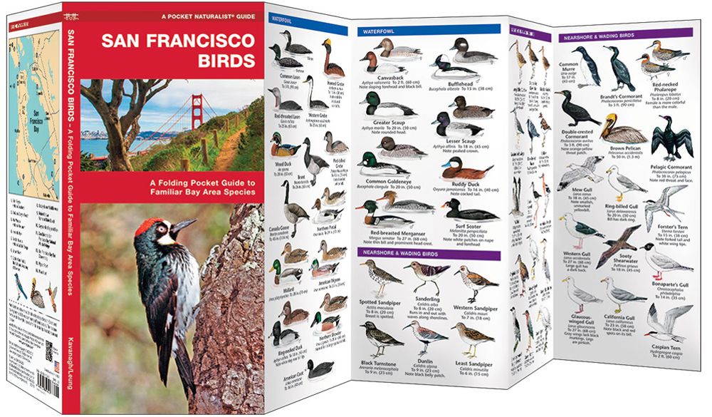 City Guide San Francisco, English Version - Art of Living - Books and  Stationery