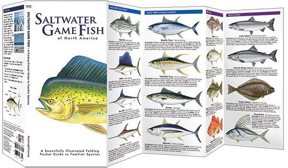 Saltwater Game Fish of North America (Pocket Fish Identification Guide®)