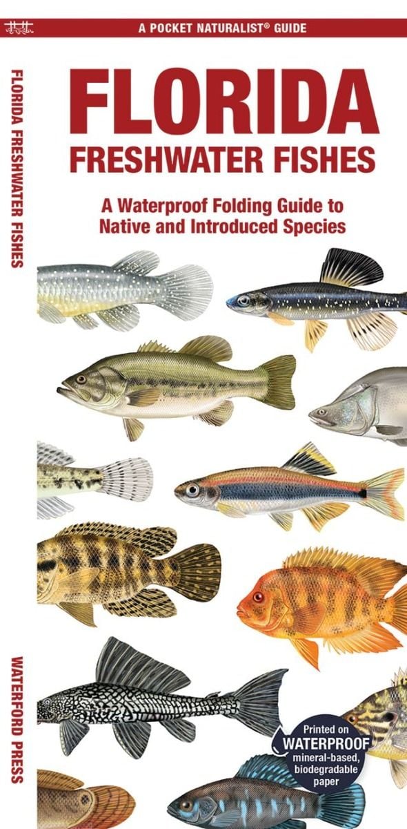 Florida Freshwater Fishes (Pocket Naturalist® Guide)