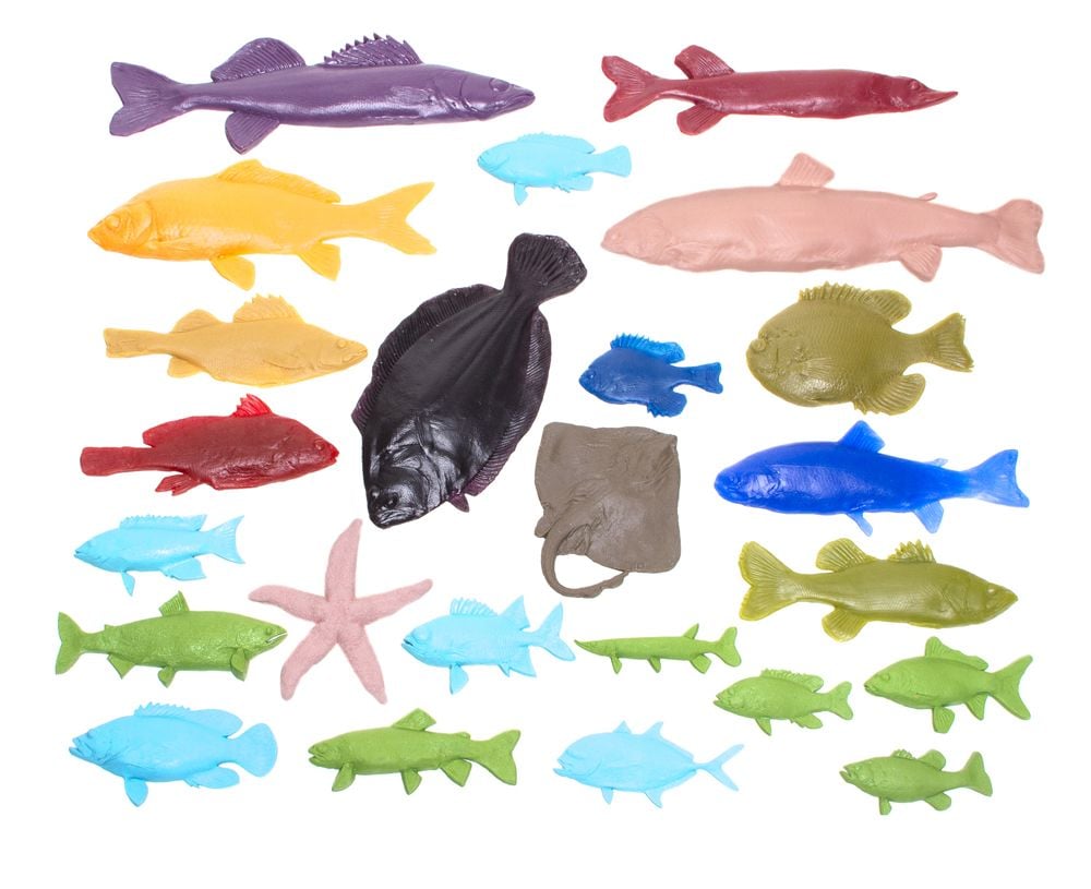 Fish Printing Replicas Collection (Set of All 24 Fish Replicas)