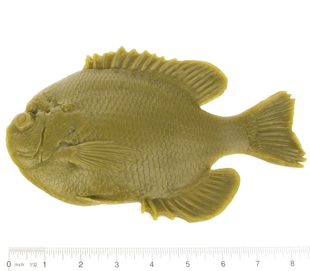 Adult Bluegill Fish Printing Replica